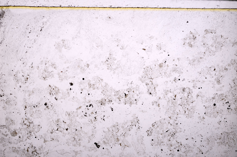 Plane Polarized, E27655