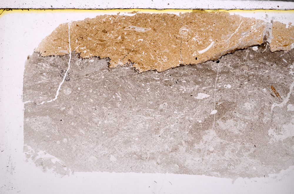 Plane Polarized, E27685