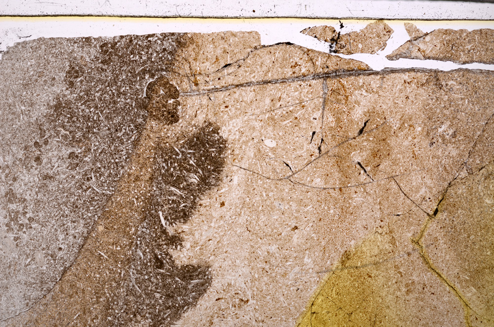 Plane Polarized, E27727
