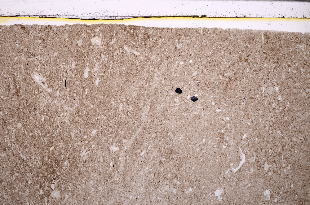 Plane Polarized, E27728
