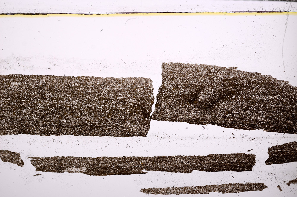 Plane Polarized, E27740