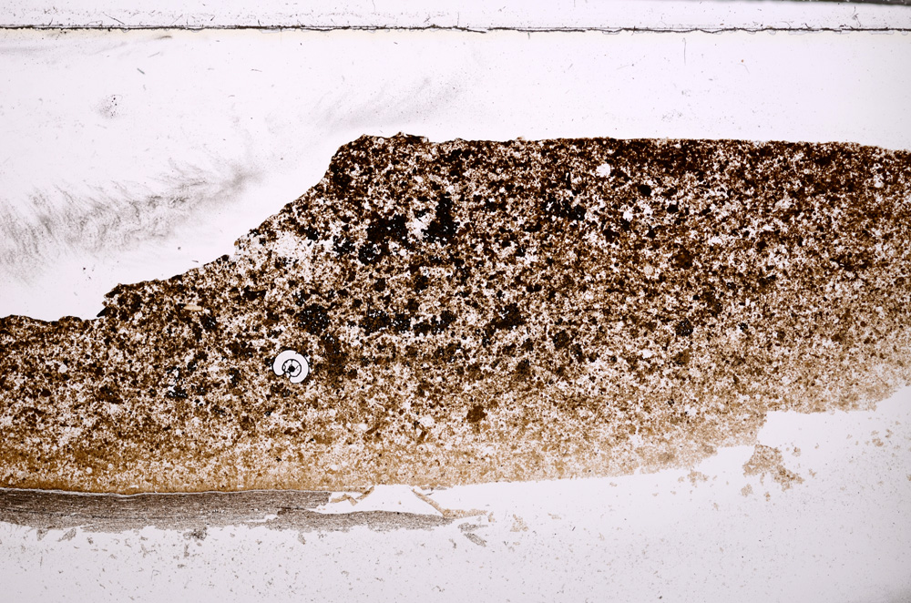Plane Polarized, E27742