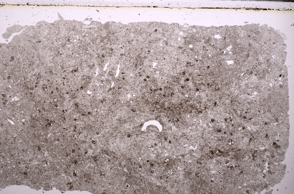 Plane Polarized, E27749