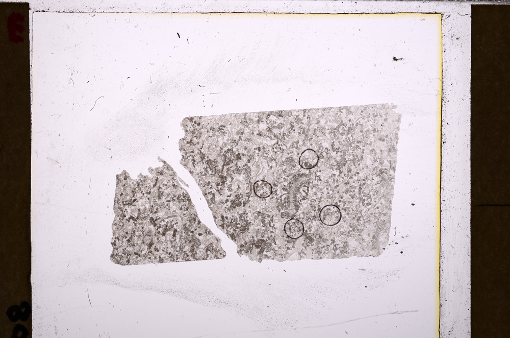Plane Polarized, E27759