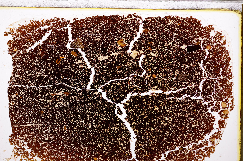 Plane Polarized, E27772