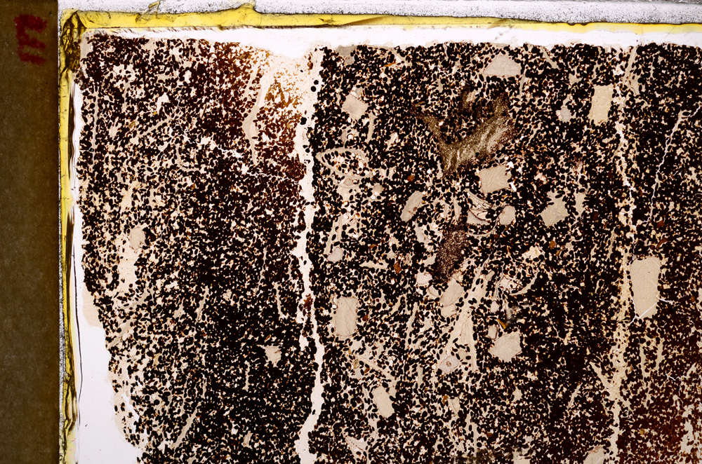 Plane Polarized, E27773