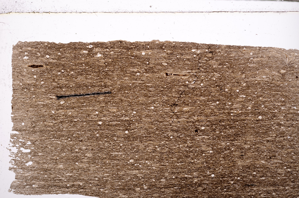 Plane Polarized, E27782