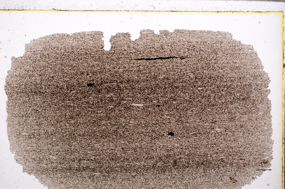Plane Polarized, E27783