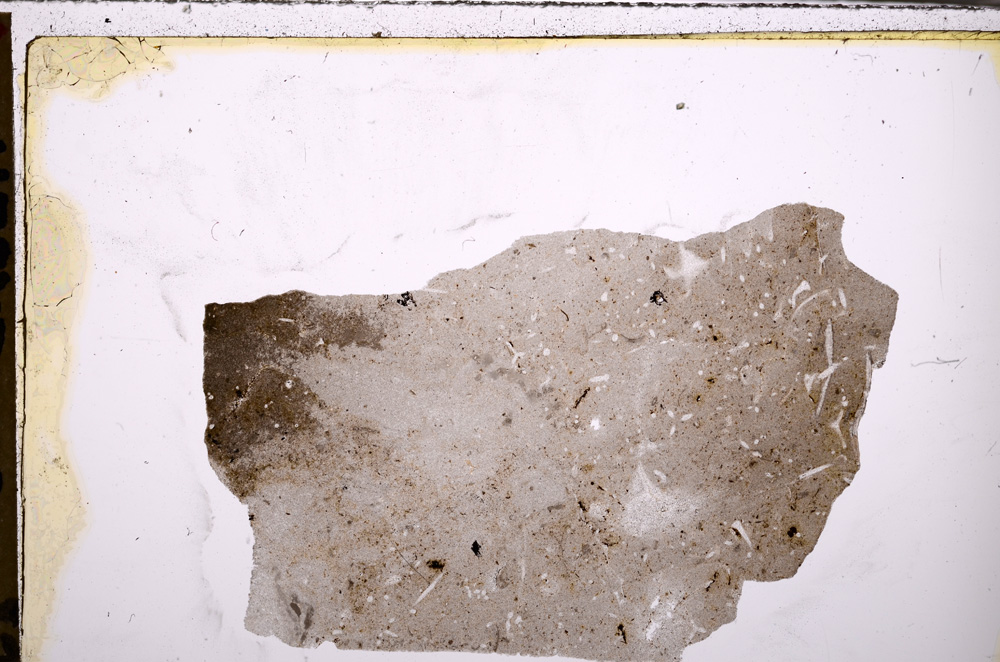 Plane Polarized, E27789