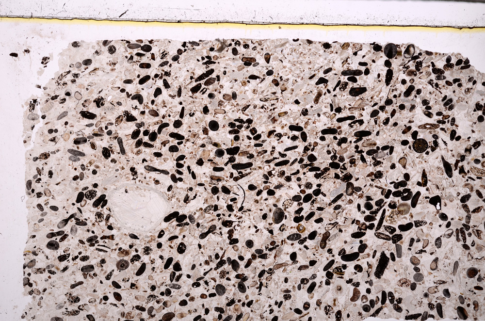 Plane Polarized, E27795