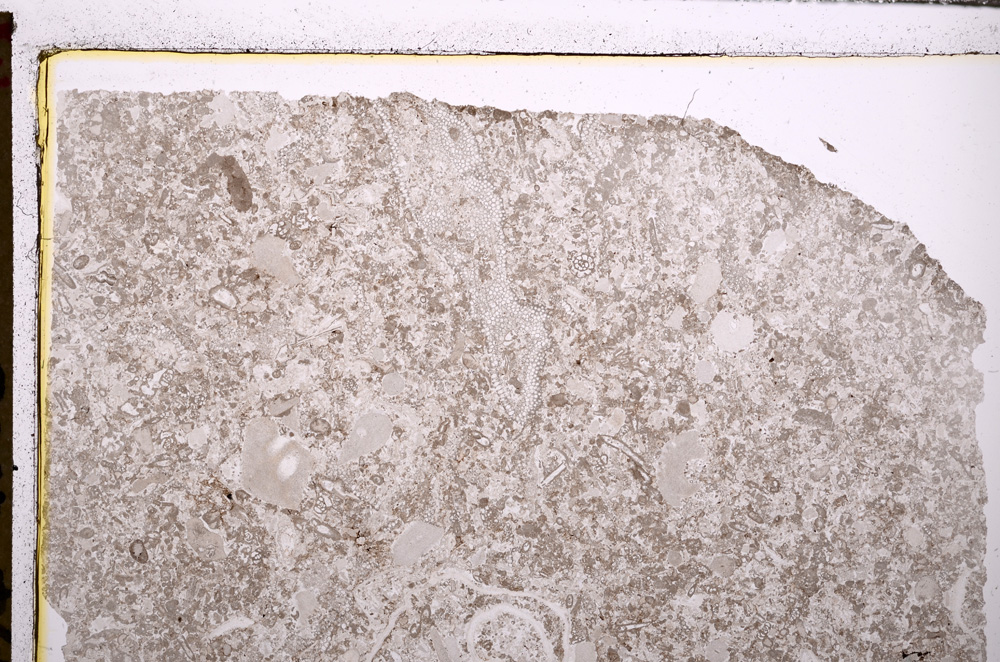 Plane Polarized, E27797