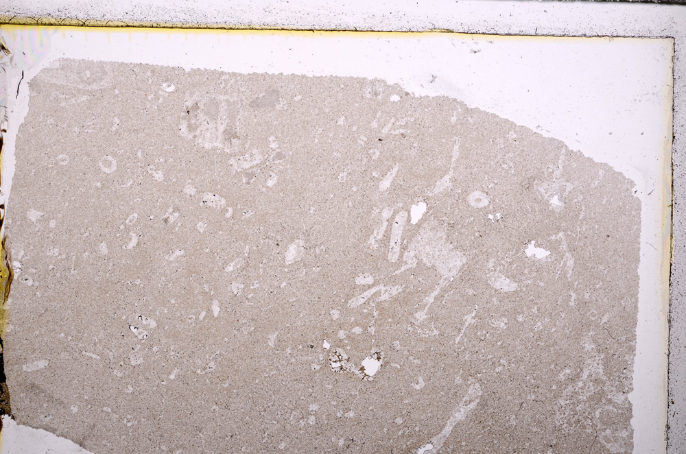 Plane Polarized, E27805