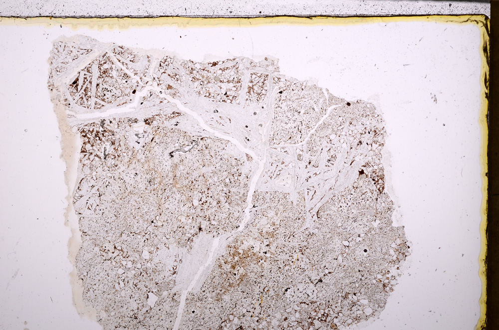 Plane Polarized, E27873