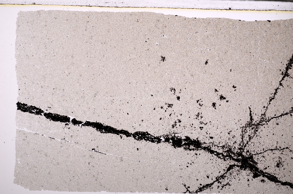 Plane Polarized, E27883