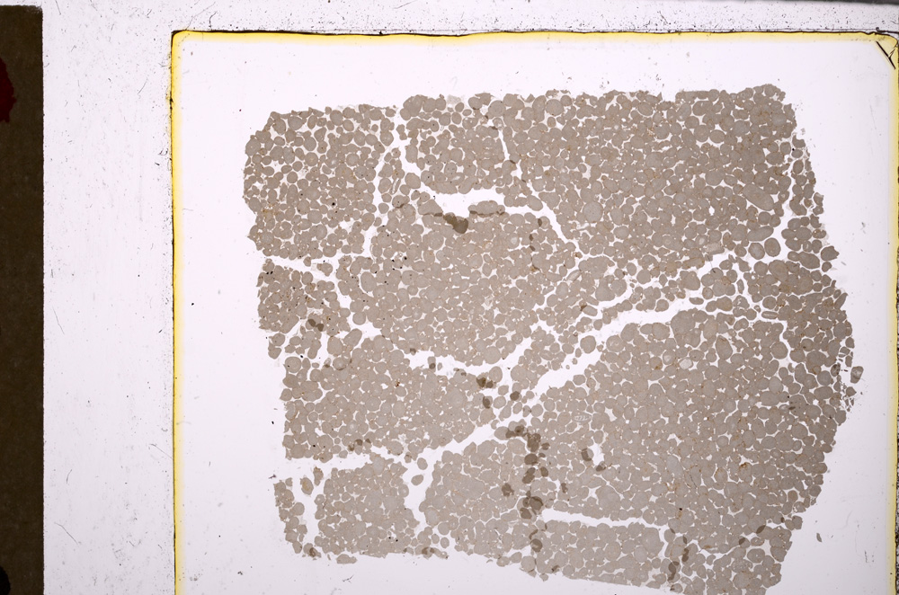Plane Polarized, E27888