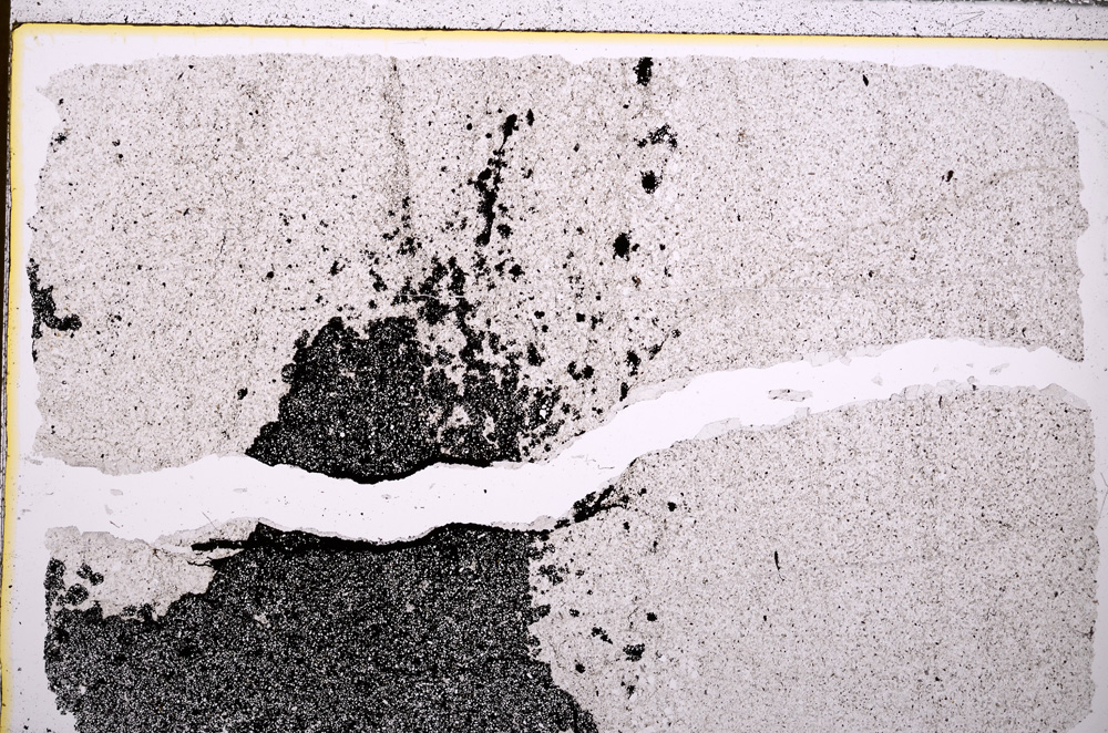 Plane Polarized, E27943