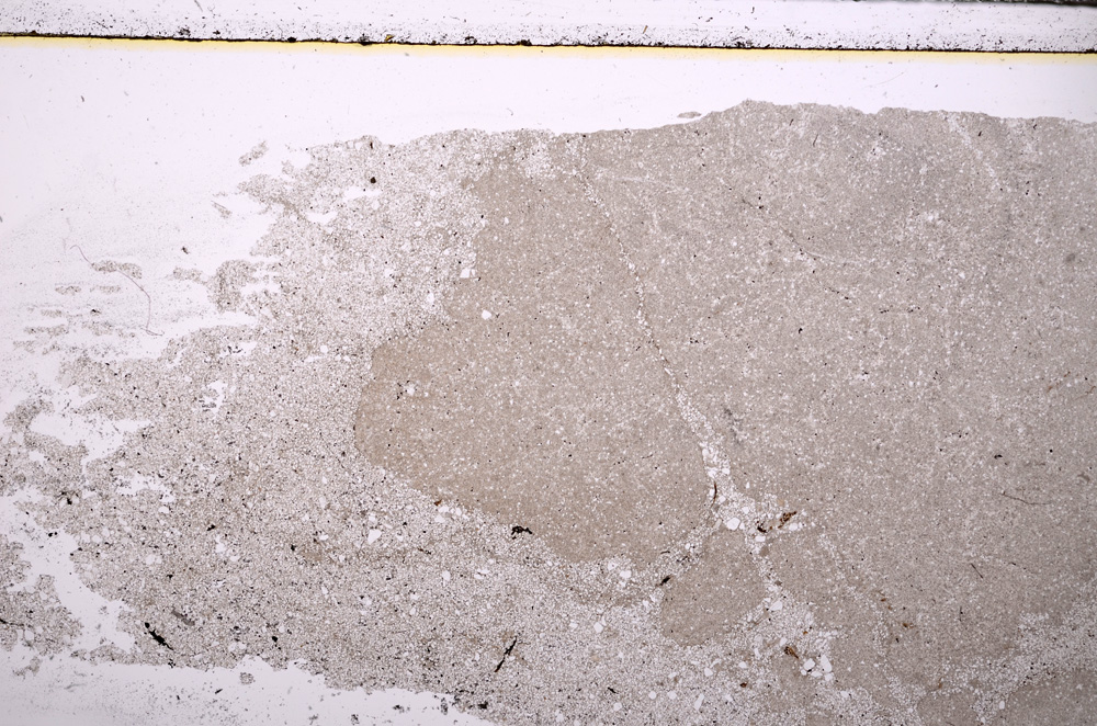 Plane Polarized, E27945