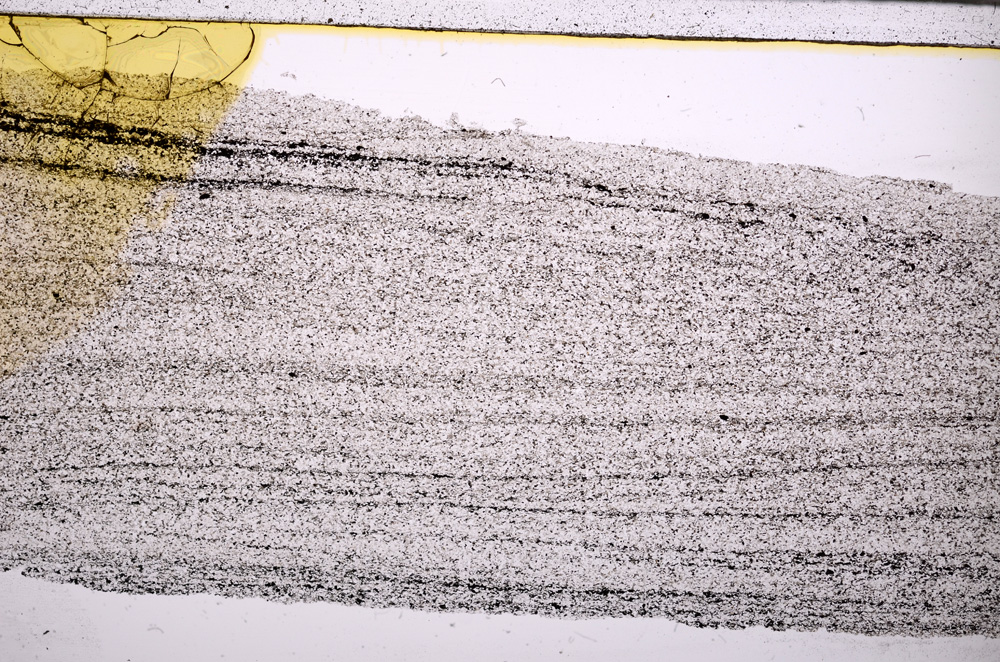Plane Polarized, E27952