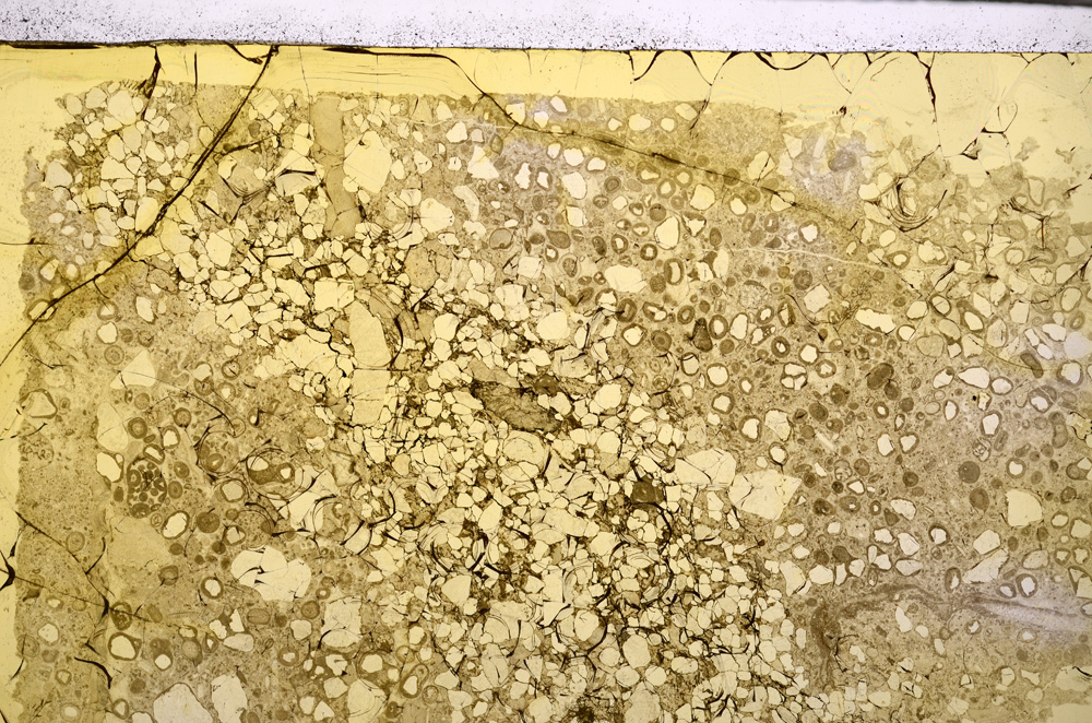 Plane Polarized, E27973