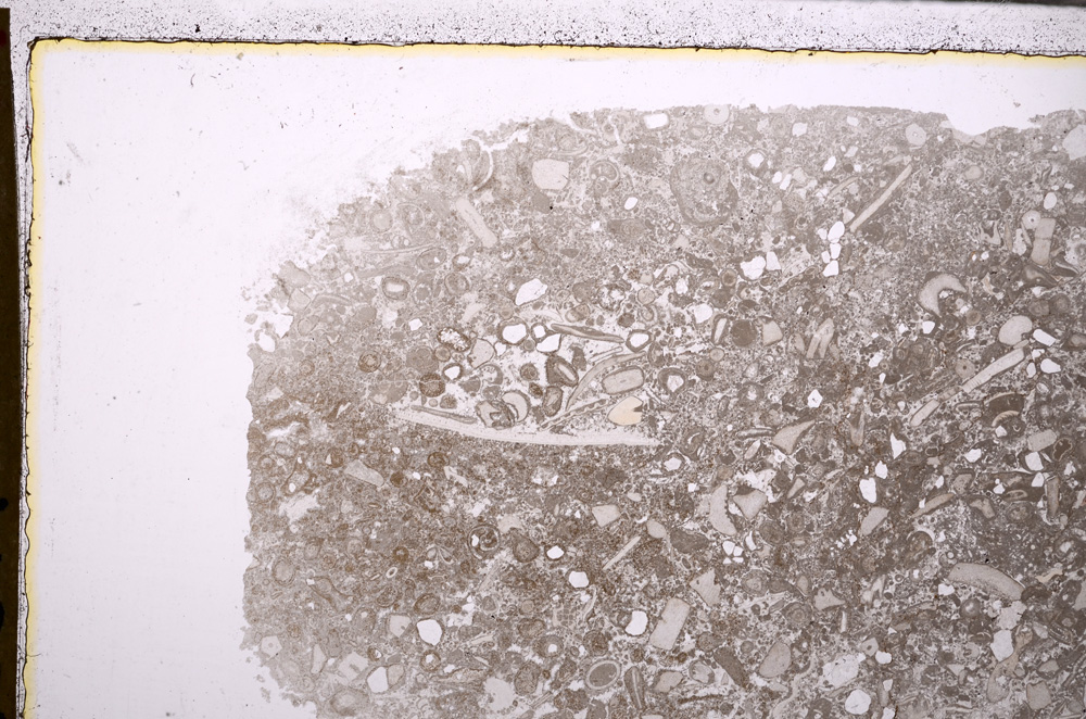 Plane Polarized, E27977