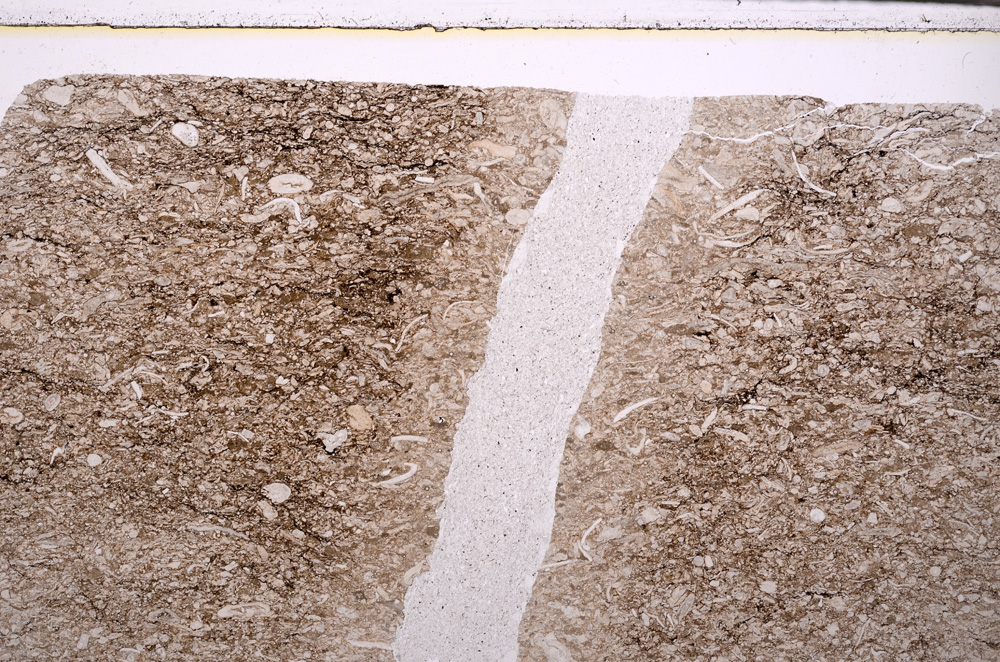 Plane Polarized, E27995