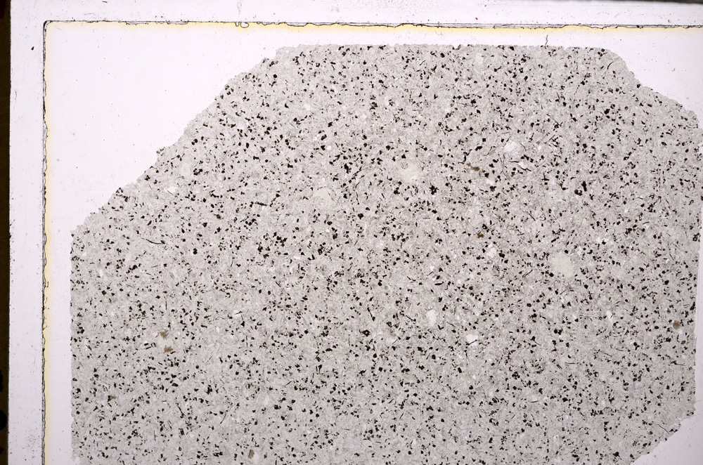 Plane Polarized, E28228