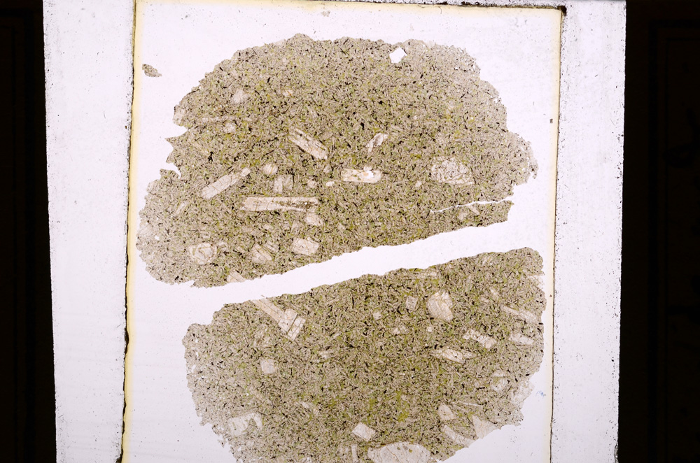 Plane Polarized, E28390