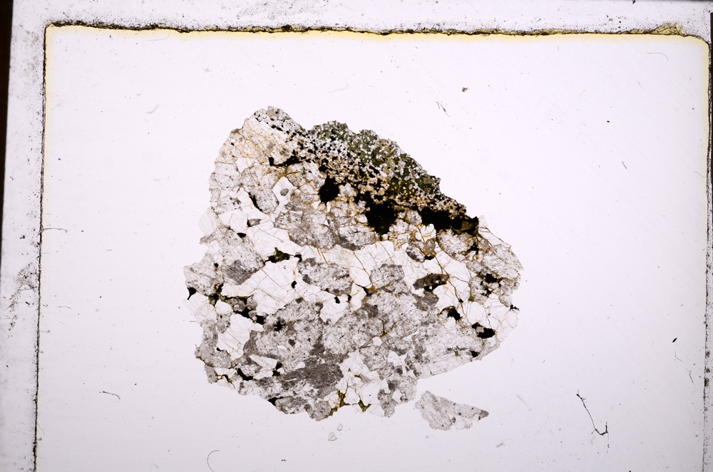 Plane Polarized, E28443