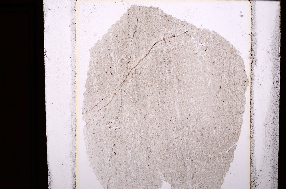 Plane Polarized, E28487