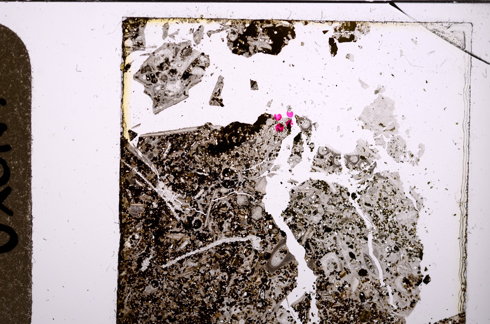 Plane Polarized, E28558