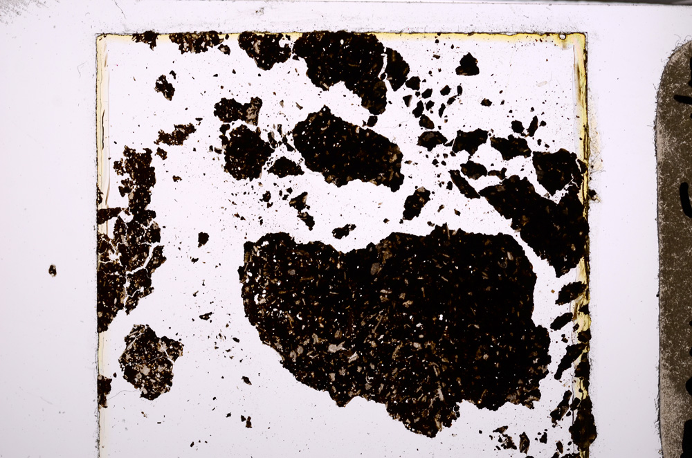 Plane Polarized, E28559