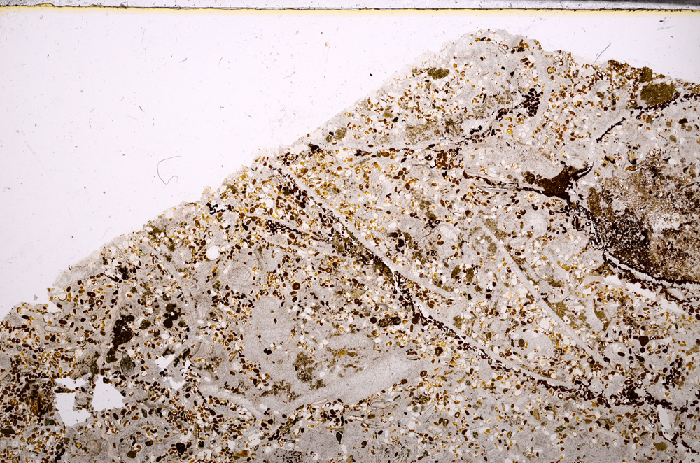 Plane Polarized, E28634