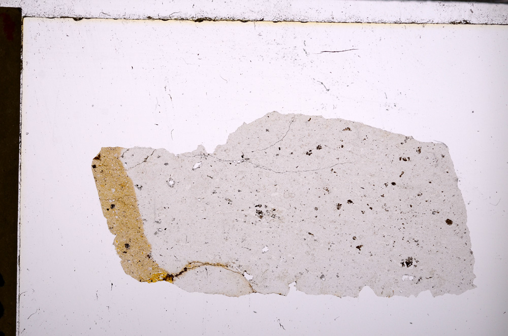 Plane Polarized, E28818