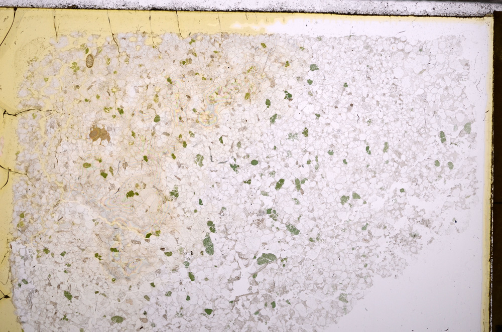 Plane Polarized, E28882