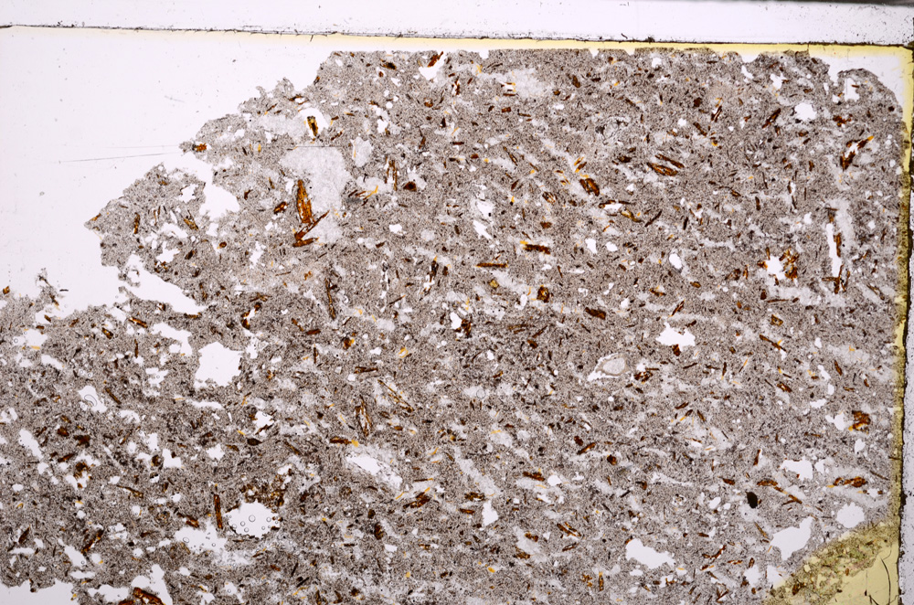 Plane Polarized, E28901