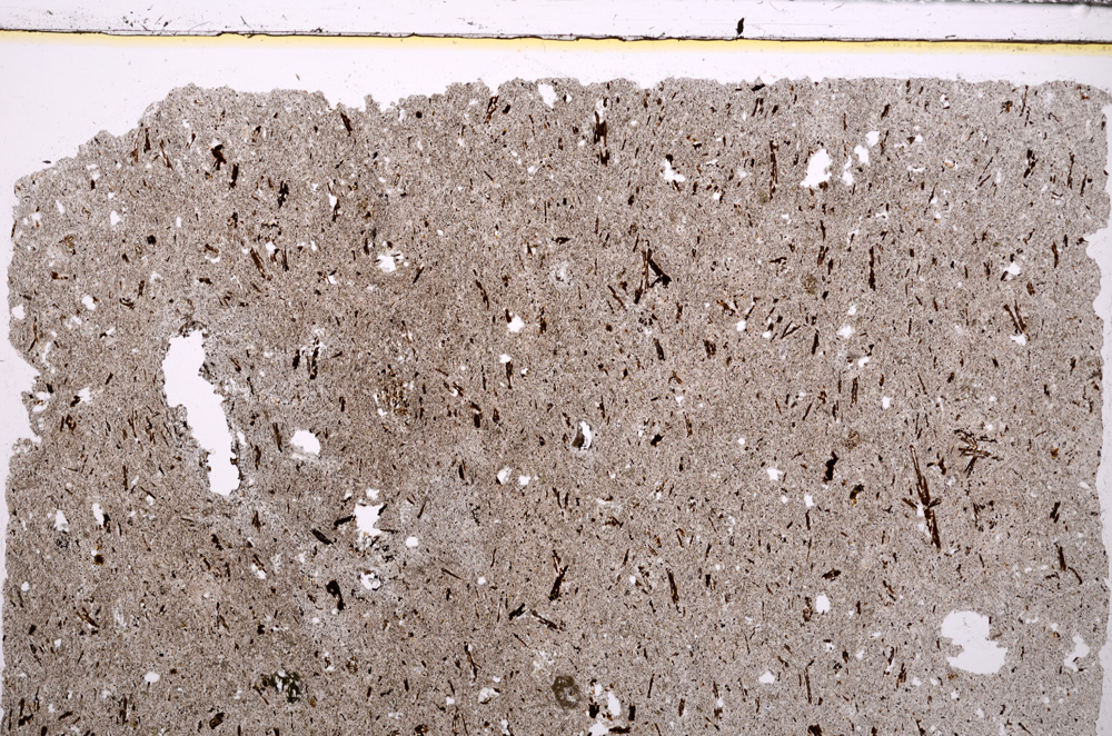 Plane Polarized, E28903