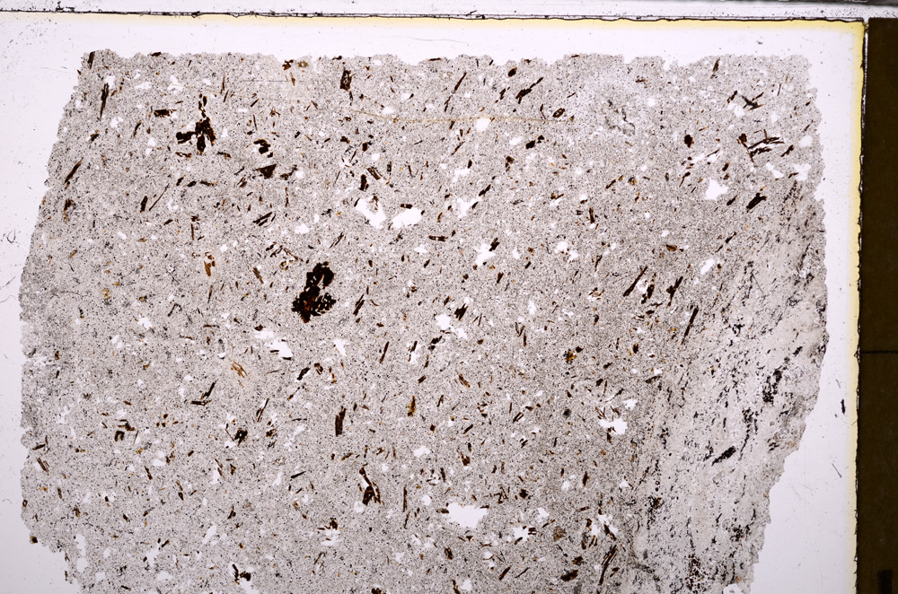 Plane Polarized, E28905