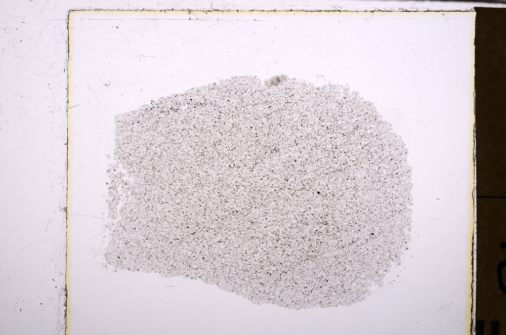 Plane Polarized, E28965
