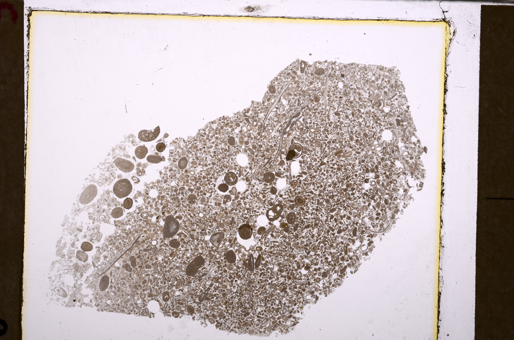 Plane Polarized, E28969