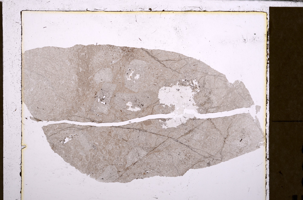 Plane Polarized, E28987