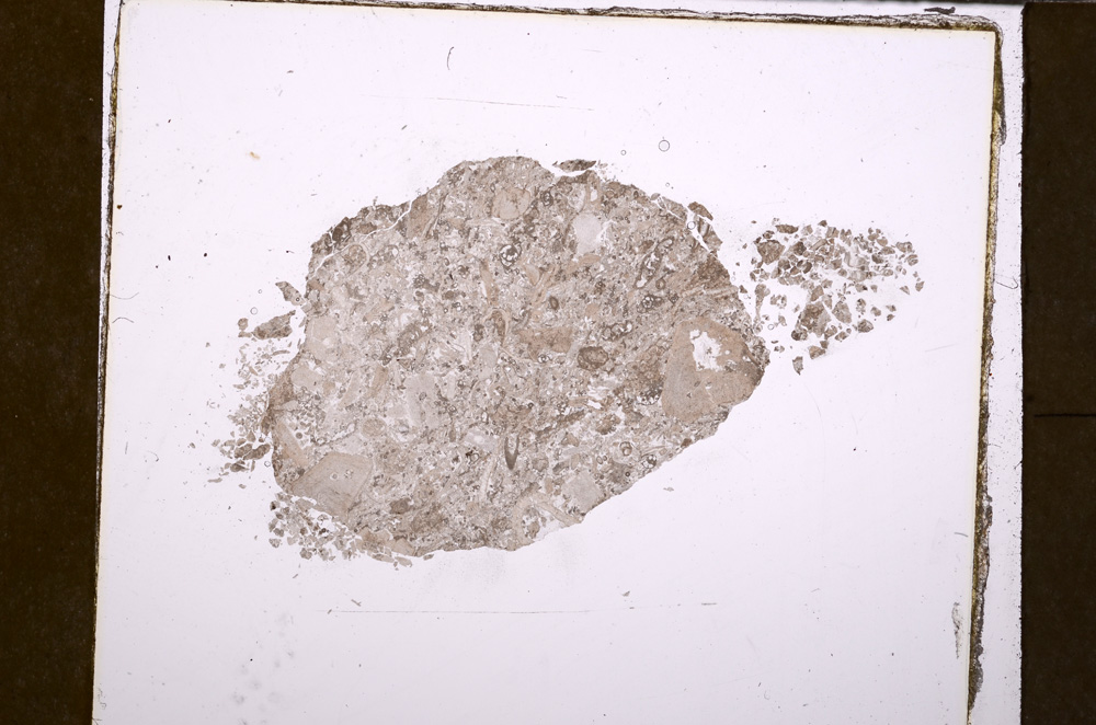 Plane Polarized, E29074