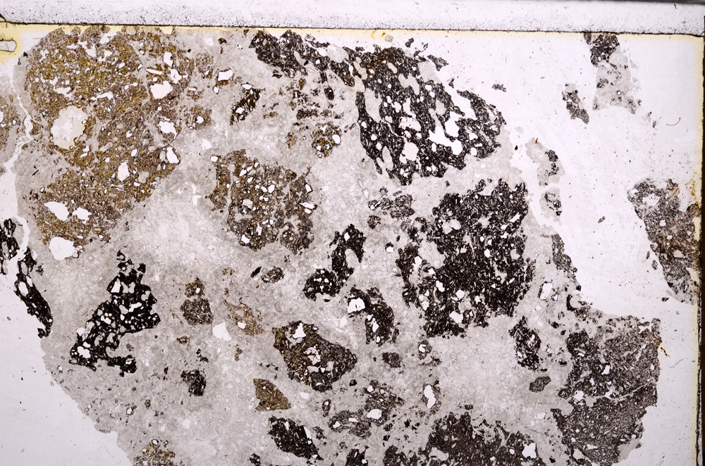 Plane Polarized, E29164