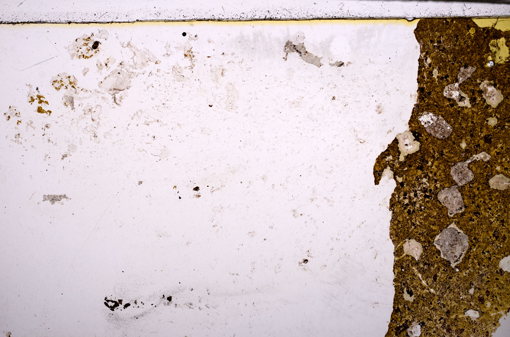 Plane Polarized, E29172