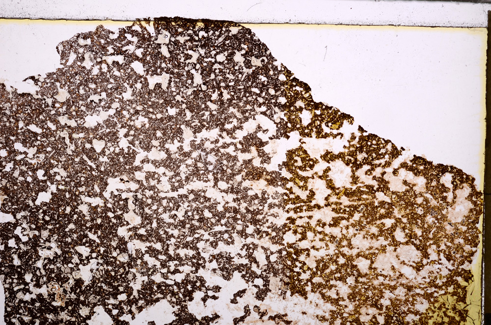 Plane Polarized, E29179