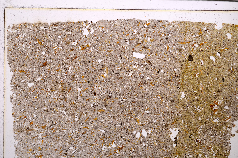 Plane Polarized, E29192
