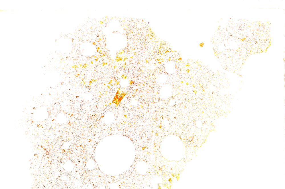 Plane Polarized, E29193