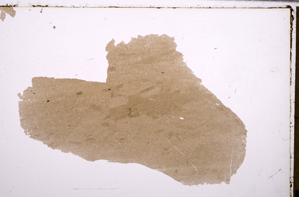 Plane Polarized, E29213