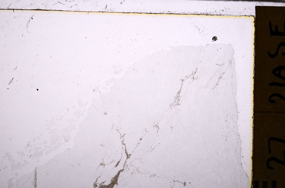 Plane Polarized, E29263