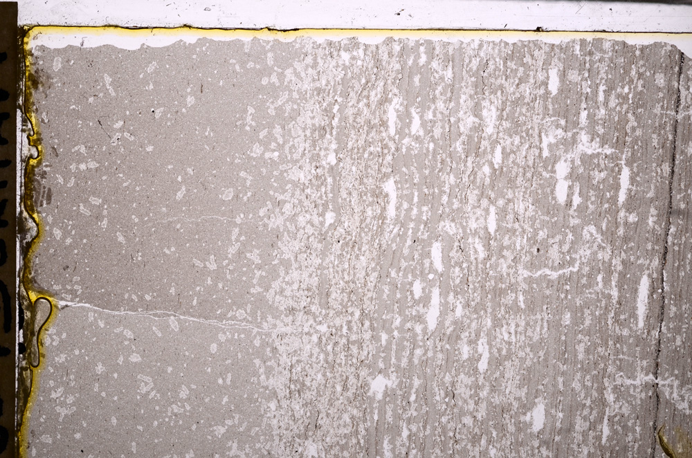 Plane Polarized, E29269