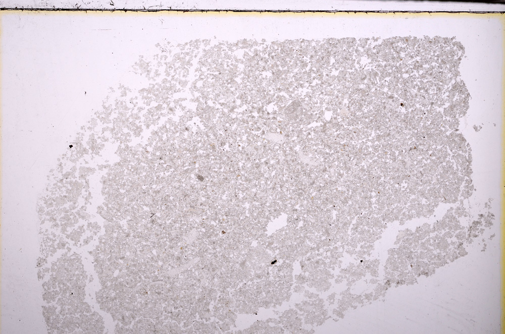 Plane Polarized, E29285